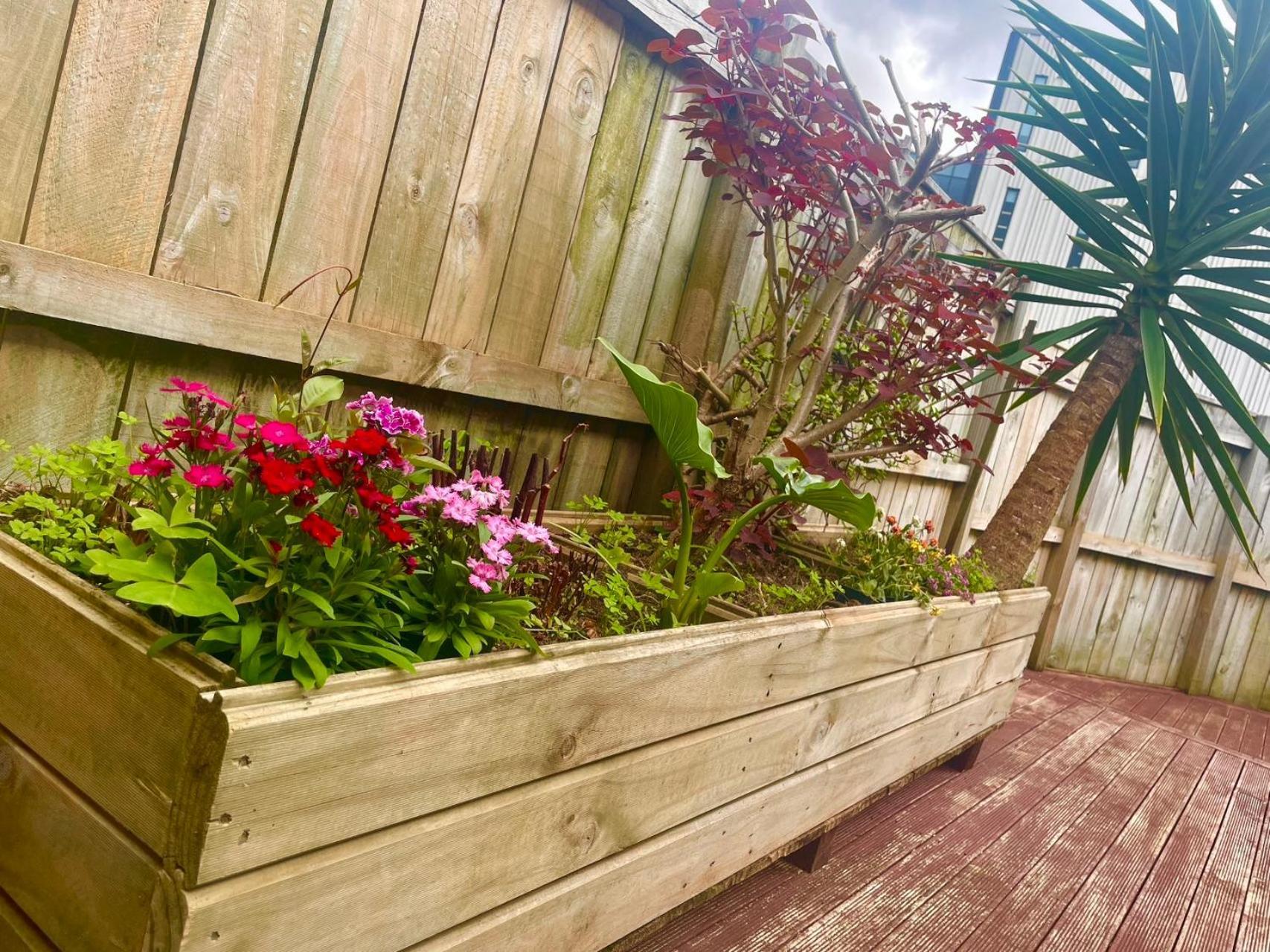 Newmarket Cozy-Home Auckland Rum bild
